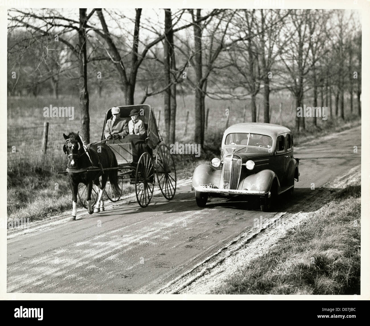 horses and cars lived together for a short time in start of XX century