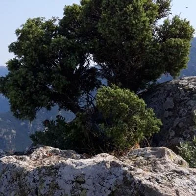 Jdb_env